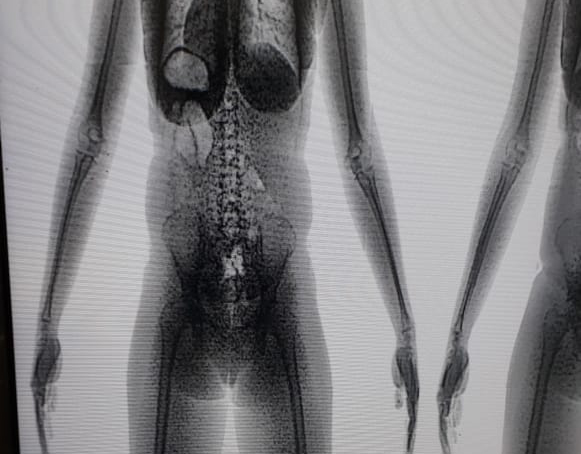 Scan: Polícia Penal registra 115 prisões por tentativas de entrega de materiais ilícitos aos internos do sistema prisional