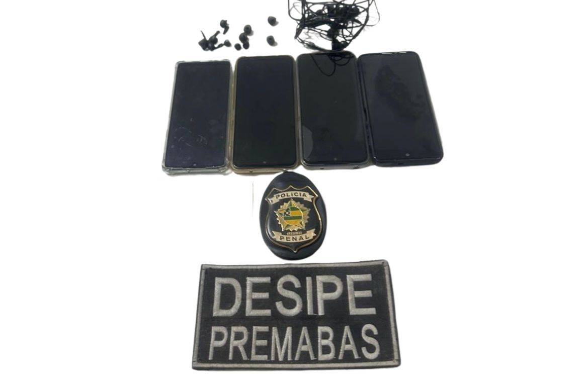 Mulher é flagrada tentando entrar com aparelhos celulares dentro de peças de carne em presídio no município de Tobias Barreto